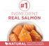 Purina One + Plus Indoor Advantage Healthy Weight and Immune Support Salmon Dry Cat Food - 16 Lbs