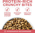 Purina One + Plus Indoor Advantage Healthy Weight and Immune Support Salmon Dry Cat Food - 16 Lbs