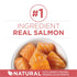 Purina One + Plus Indoor Advantage Healthy Weight and Immune Support Salmon Dry Cat Food - 3.5 Lbs - Case of 4