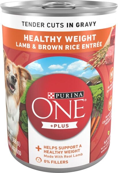 Purina One + Plus Tender Cuts in Gravy Lamb and Brown Rice Canned Dog Food - 13 Oz - Case of 12