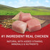 Purina One SmartBlend Chicken and Rice Puppy Formula Dry Dog Food - 8 Lbs - Case of 4