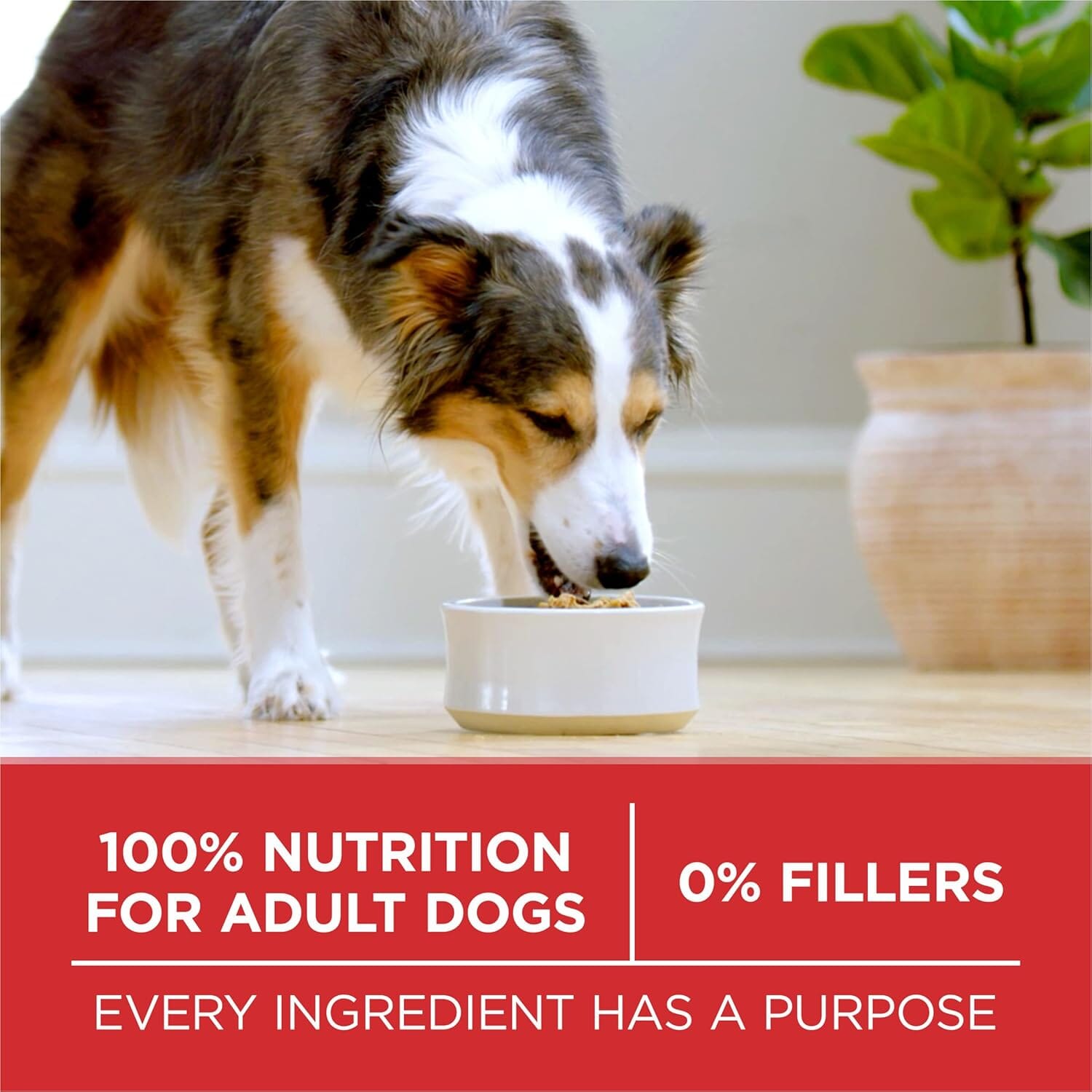 Purina One SmartBlend Chicken and Rice Puppy Formula Dry Dog Food - 8 Lbs - Case of 4