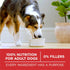 Purina One SmartBlend Chicken and Rice Puppy Formula Dry Dog Food - 8 Lbs - Case of 4