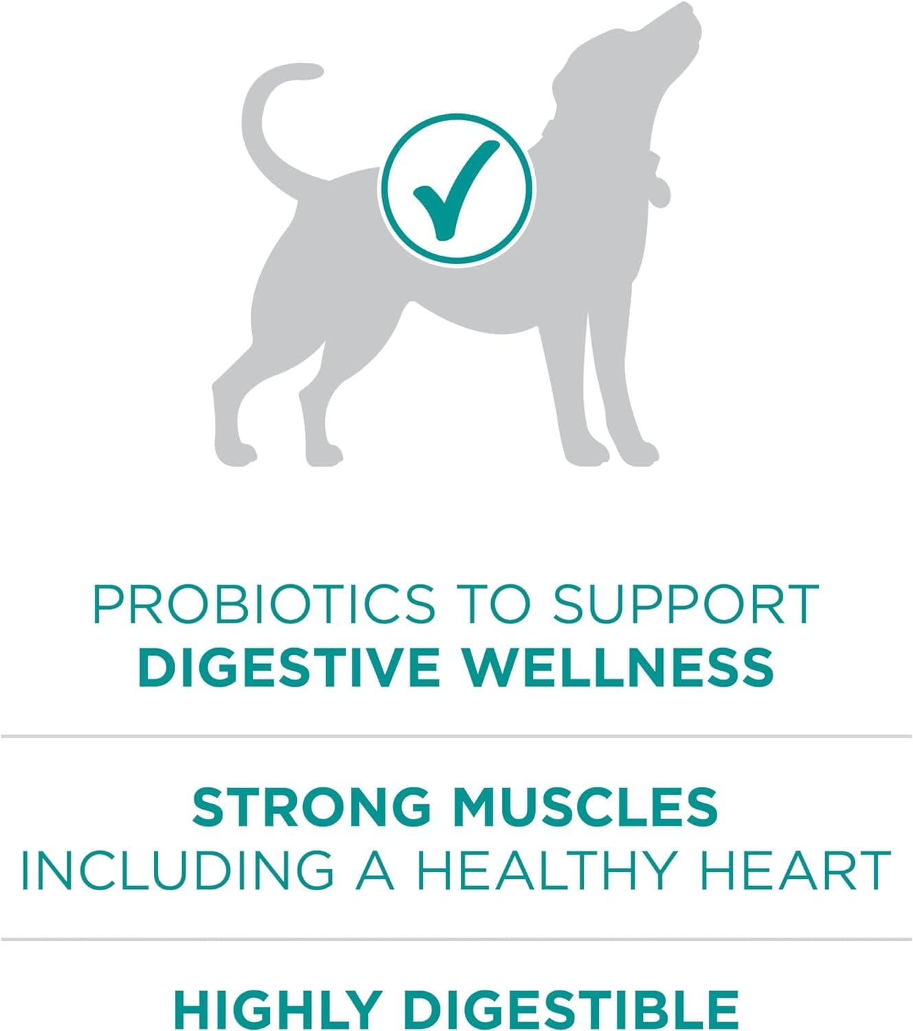 Purina One SmartBlend Digestive Health with Probiotics Tender Morsals Chicken Dry Dog Food - 8 Lbs - Case of 4