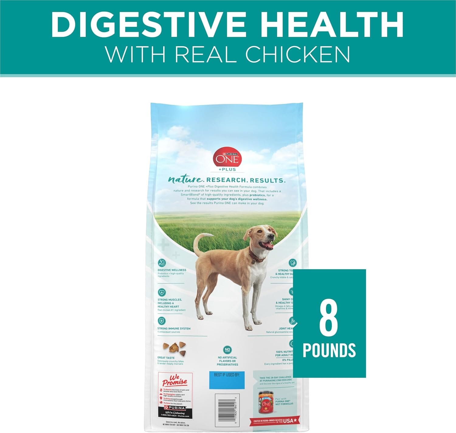 Purina One SmartBlend Digestive Health with Probiotics Tender Morsals Chicken Dry Dog Food - 8 Lbs - Case of 4