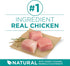 Purina One SmartBlend Digestive Health with Probiotics Tender Morsals Chicken Dry Dog Food - 8 Lbs - Case of 4