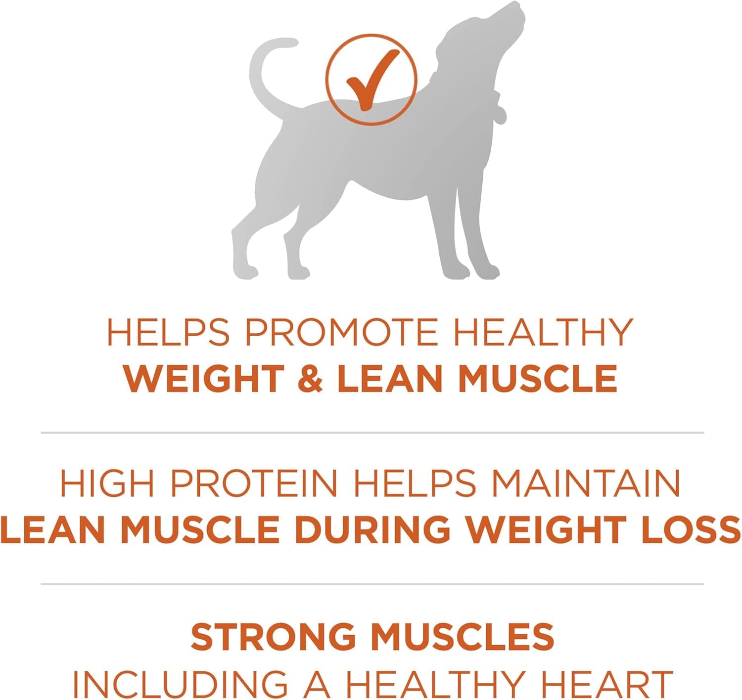 Purina One SmartBlend Healthy Weight High-Protein Formula Turkey Dry Dog Food - 31.1 Lbs