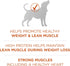 Purina One SmartBlend Healthy Weight High-Protein Formula Turkey Dry Dog Food - 31.1 Lbs
