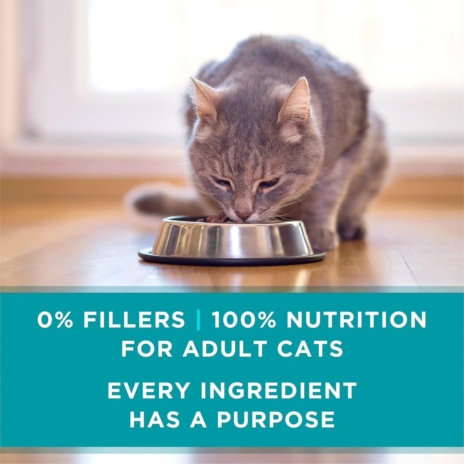 Purina One SmartBlend Healthy Weight Salmon in Sauce Canned Cat Food - 3 Oz - Case of 24