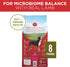 Purina One SmartBlend Heart Muscle and Immune Support Lamb and Rice Dry Dog Food - 8 Lbs - Case of 4