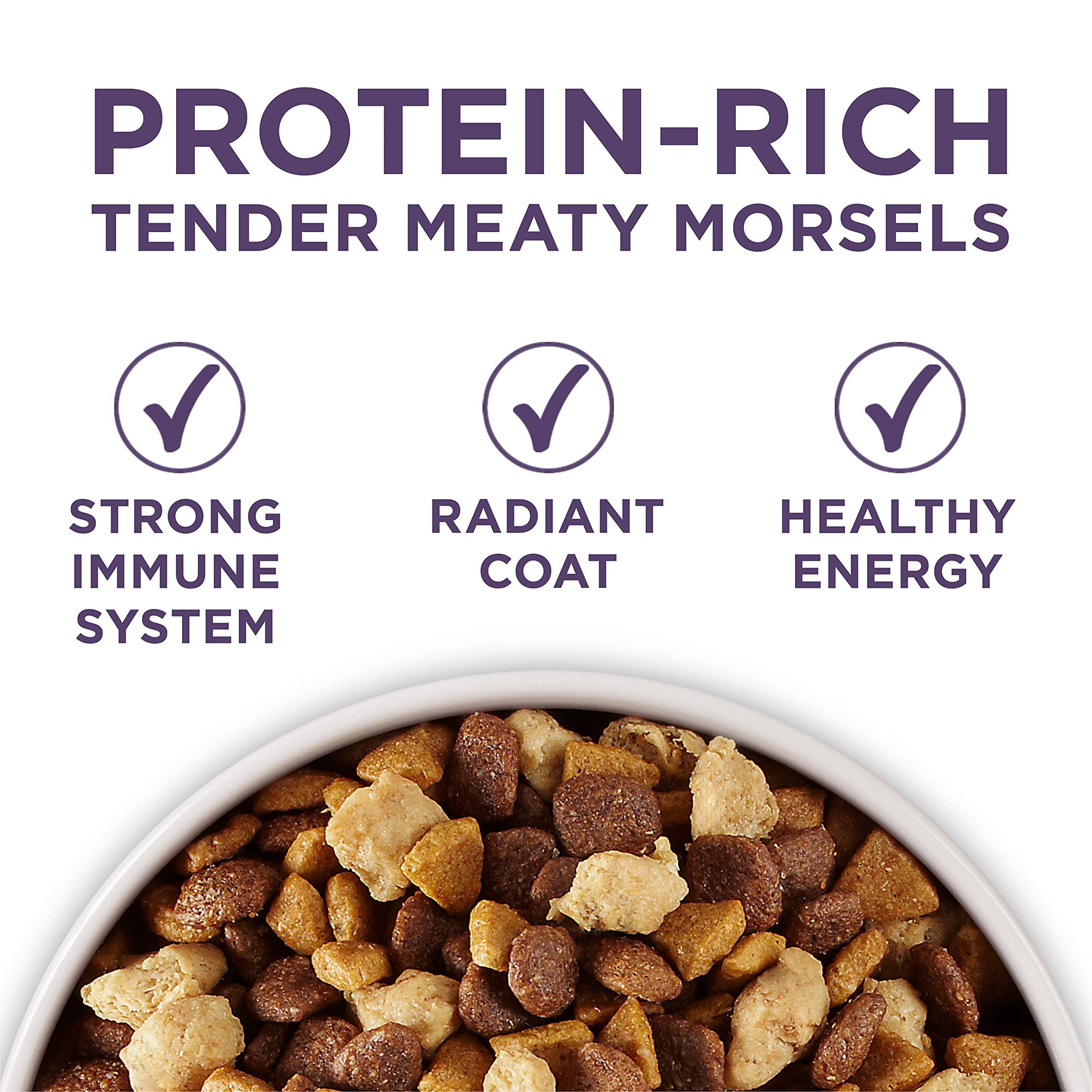 Purina One SmartBlend Vibrant Maturity 7+ Senior Adult Chicken Dry Dog Food - 8 Lbs - Case of 4  