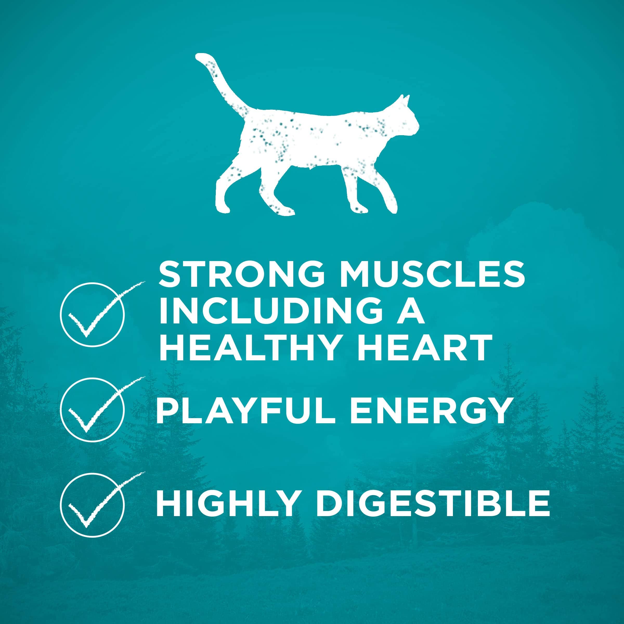 Purina One True Instinct High-Protein Grain-Free Chicken Adult Dry Cat Food - 6.3 Lbs - Case of 4  