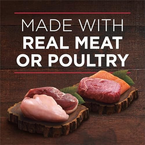 Purina ONE True Instinct Tender Cuts in Gravy Beef Chicken Salmin Duck Canned Dog Food - Variety Pack - 13 Oz - Case of 6