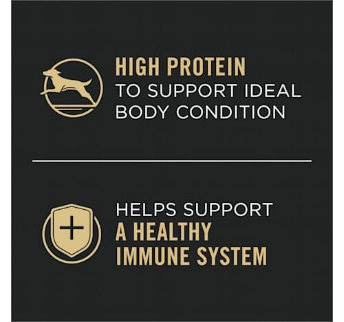 Purina Pro Plan Complete Essentials Chicken Beef Vegetables in Gravy Adult Canned Dog Food - Variety Pack - 13 Oz - Case of 12