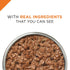 Purina Pro Plan Complete Essentials Chunks in Gravy Beef and Wild Rice Adult Wet Dog Food Trays - 10 Oz - Case of 8