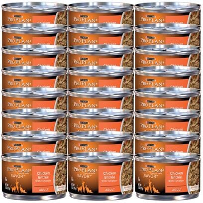 Purina Pro Plan Complete Essentials Turkey and Vegetables in Gravy Adult Canned Dog Food - 13 Oz - Case of 12 Default Title