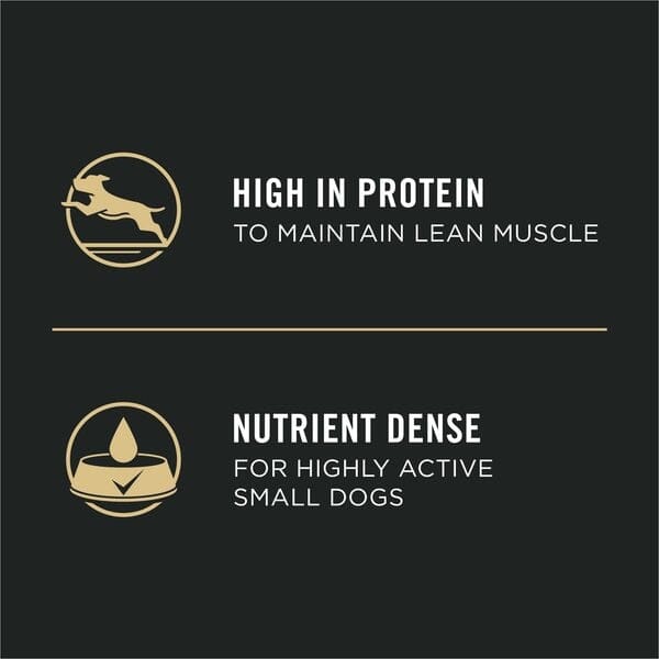 Purina Pro Plan Focus Chunks in Gravy Beef Pate Small-Breed Wet Dog Food Trays - 3.5 Oz - Case of 12