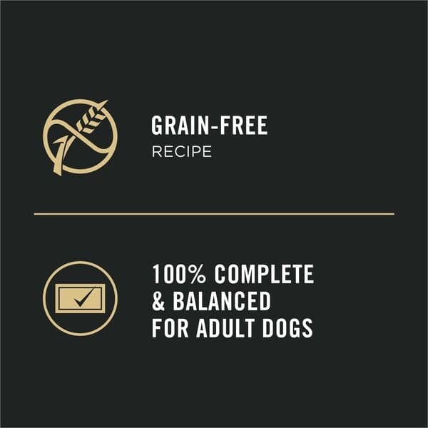 Purina Pro Plan Focus Chunks in Gravy Beef Pate Small-Breed Wet Dog Food Trays - 3.5 Oz - Case of 12