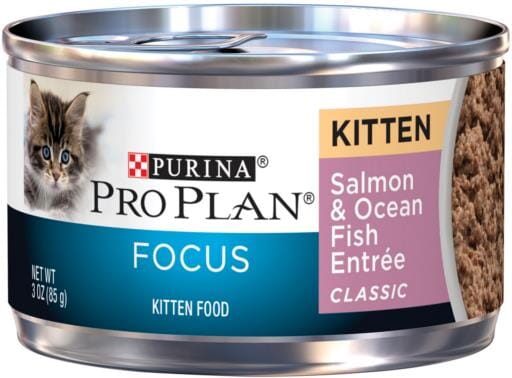 Purina Pro Plan Focus Kitten Classic Salmon & Ocean Fish Entree Canned Cat Food  