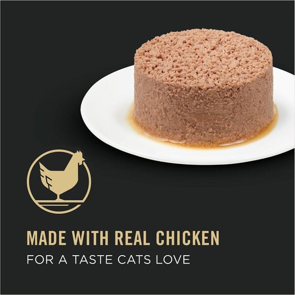 Purina Pro Plan Focus Senior Cat 11 + Chicken & Beef Entree Canned Cat Food