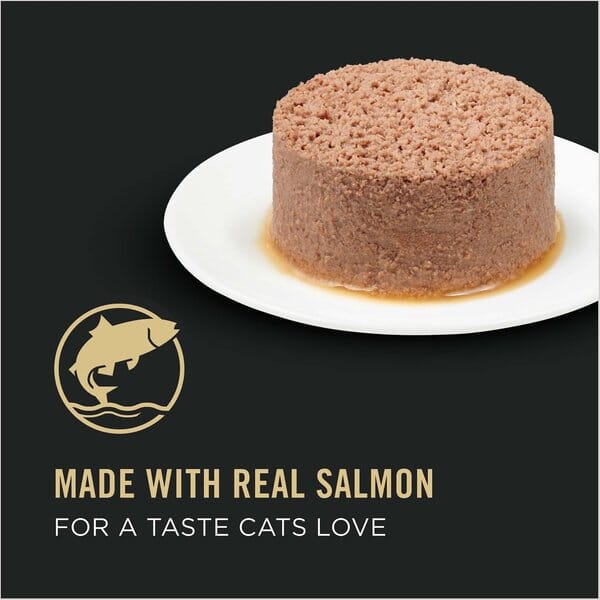 Purina Pro Plan Focus Senior Cat 11+ Salmon & Tuna Entree Canned Cat Food
