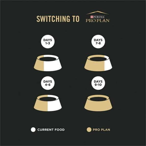 Purina Pro Plan LiveClear Allergen Reducing High-Protein Skin and Stomach Turkey and Oatmeal Adult Dry Cat Food