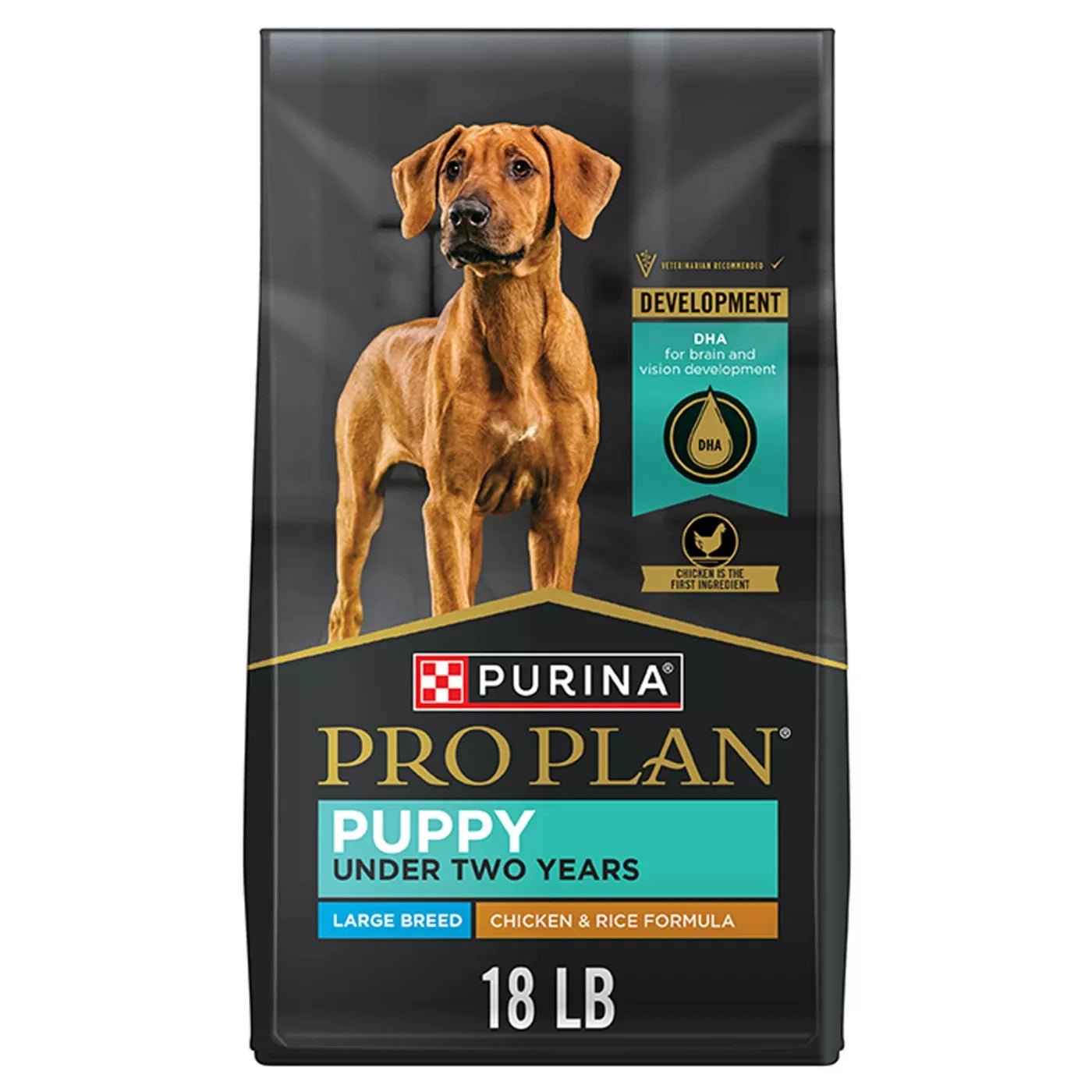 Purina Pro Plan Puppy Large Breed Chicken & Rice Formula Dry Dog Food 18-lb