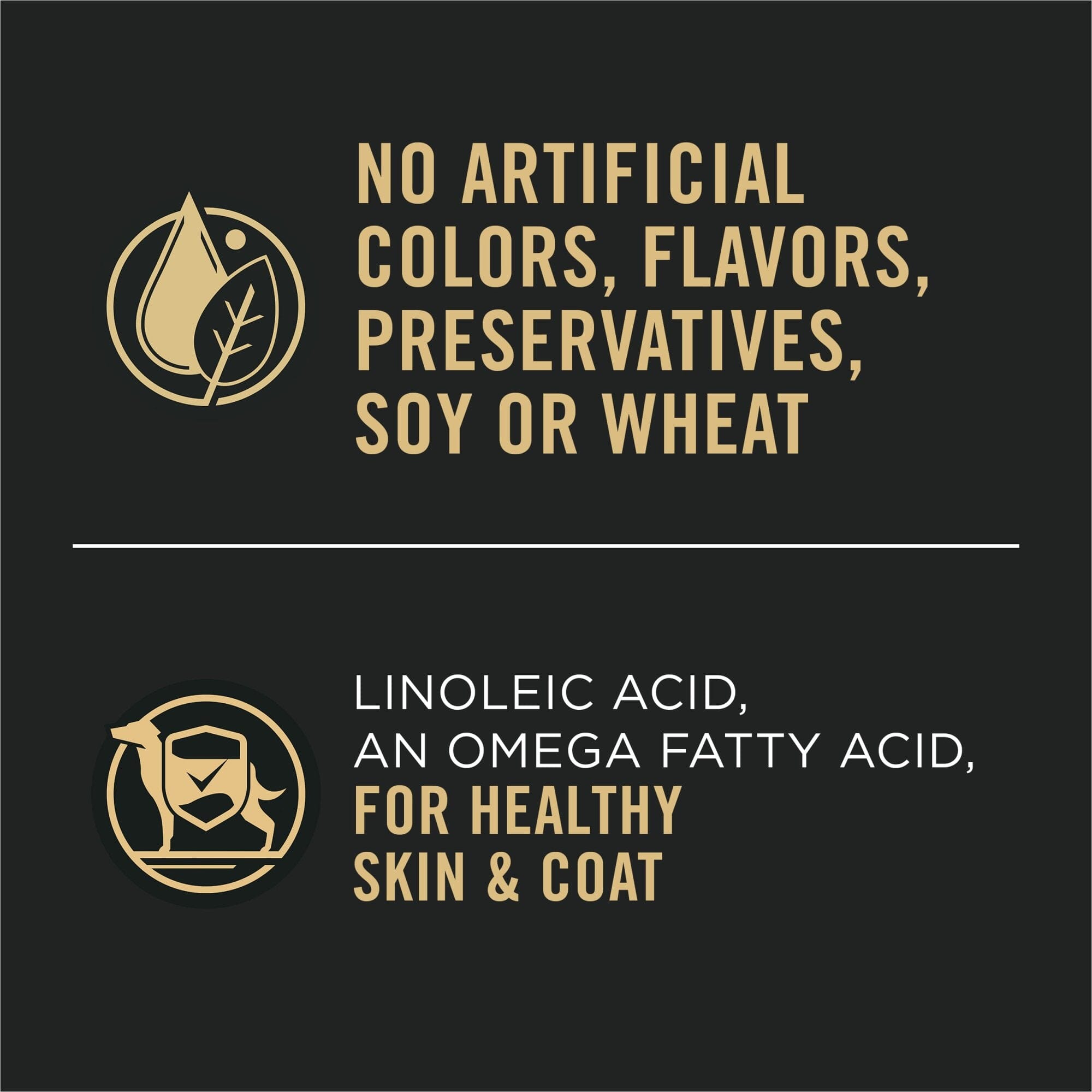 Purina Pro Plan Sensitive Skin and Stomach Salmon and Rice Adult Canned Dog Food - 13 Oz - Case of 12