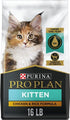 Purina Pro Plan Shredded Blend Chicken and Rice Kitten Formula Dry Cat Food - 16 Lbs