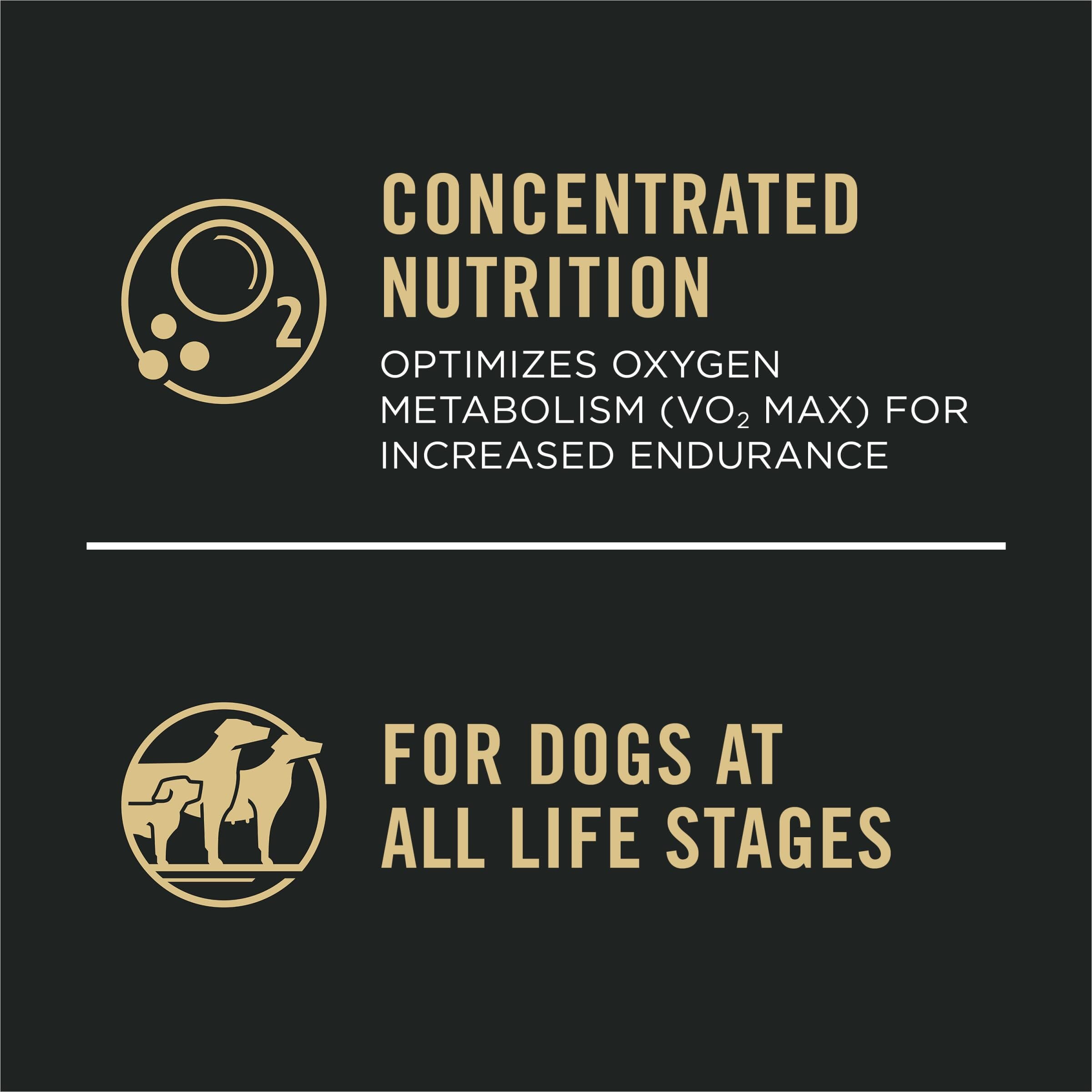 Purina Pro Plan Sport All Life Stages Performance 30/20 Formula Dry Dog Food  