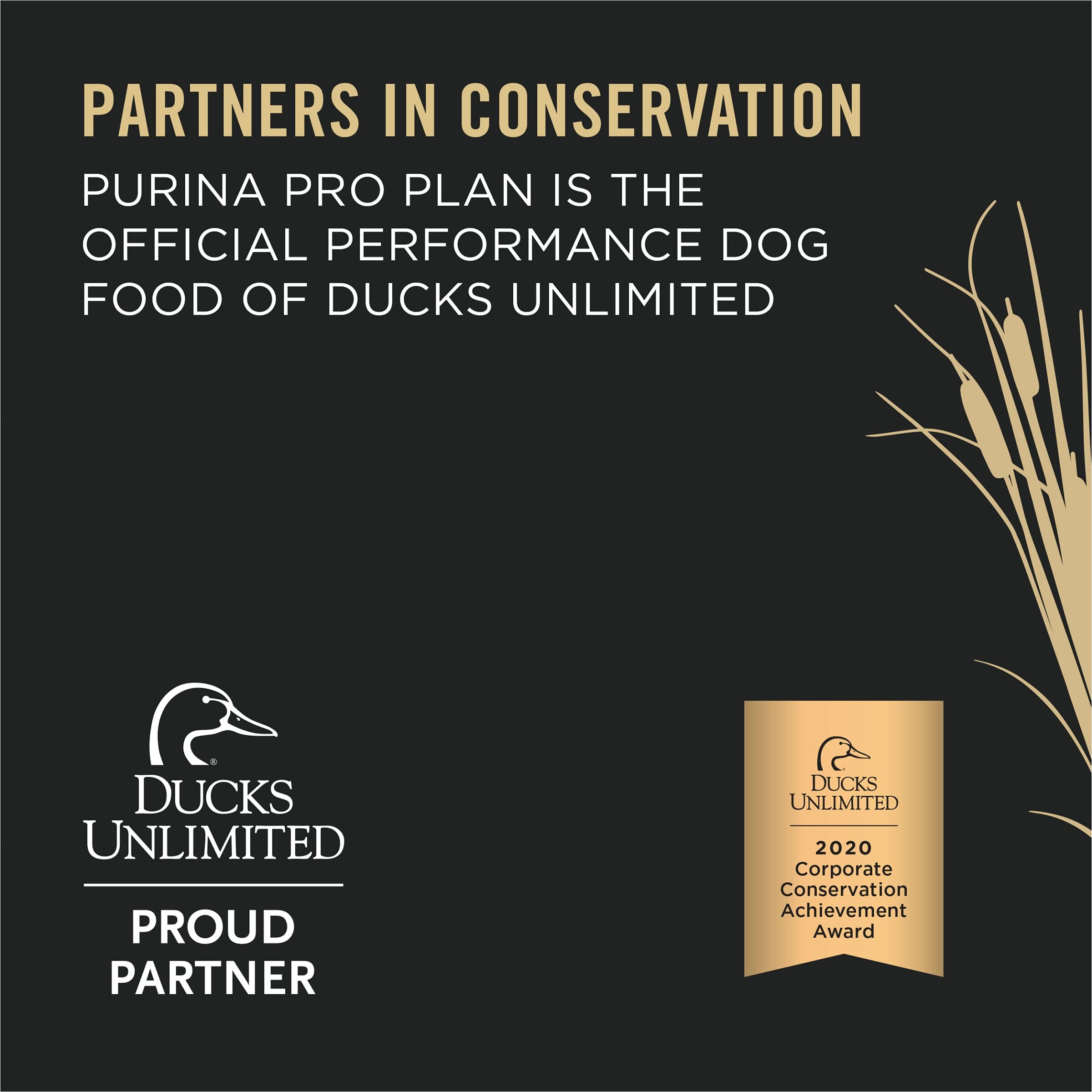 Purina Pro Plan Sport Classoc High-Protein Turkey Lamb and Venison Entrée Adult Canned Dog Food - 13 Oz - Case of 12