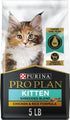 Purina Pro Plan Sport Development Chicken and Rice Kitten Formula Dry Cat Food - 5 Lbs - Case of 5