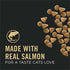 Purina Pro Plan Vital Systems 4-in-1 Support Salmon and Egg Adult Dry Cat Food