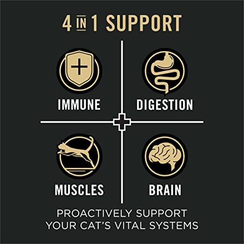 Purina Pro Plan Vital Systems 4-in-1 Support Salmon and Egg Adult Dry Cat Food