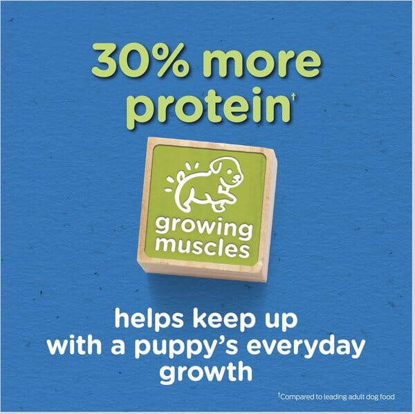 Purina Puppy Chow Tender and Crunchy High-Protein Beef and Rice Formula Puppy Dry Dog Food - 15 Lbs