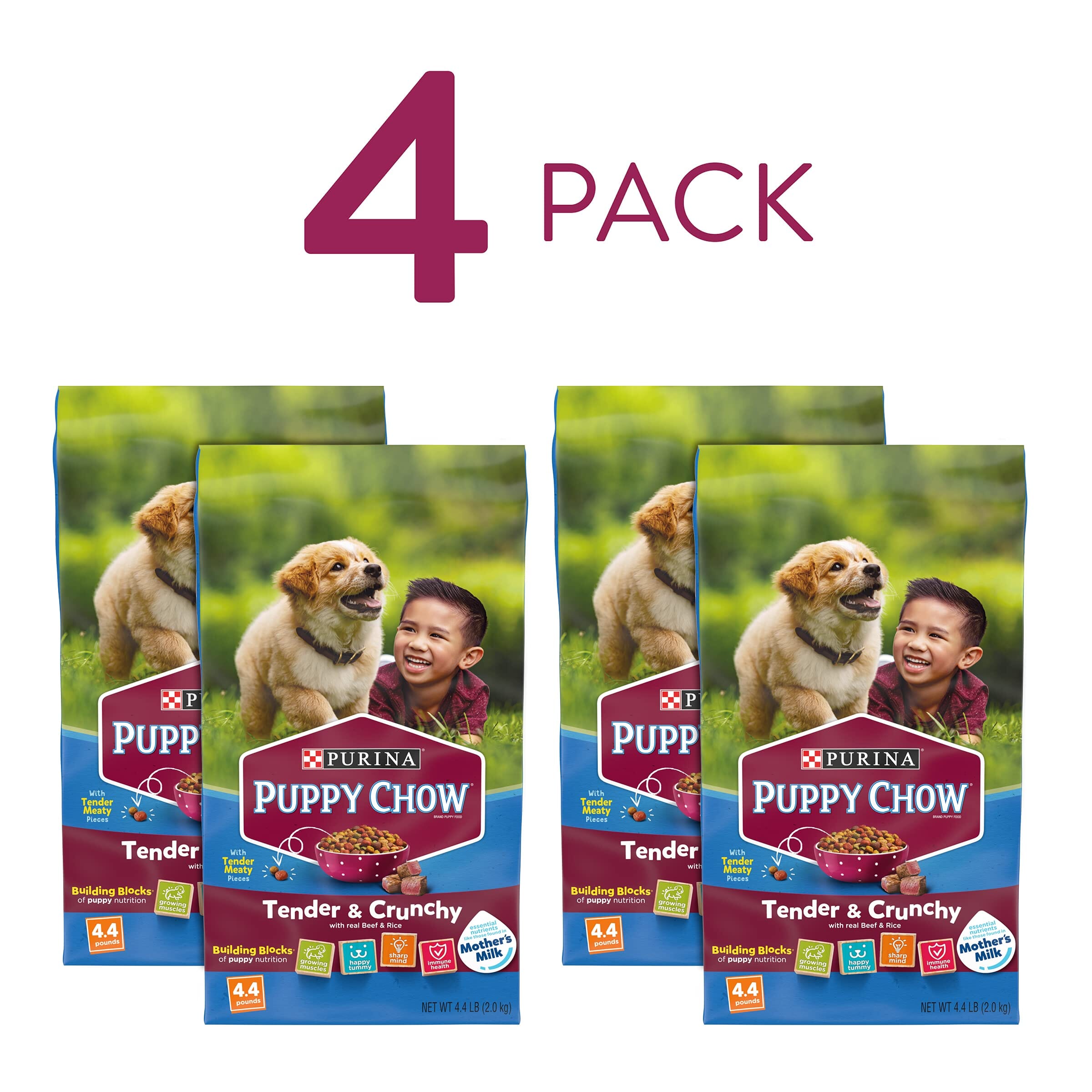 Purina Puppy Chow Tender and Crunchy High-Protein Beef and Rice Formula Puppy Dry Dog Food - 30 Lbs  