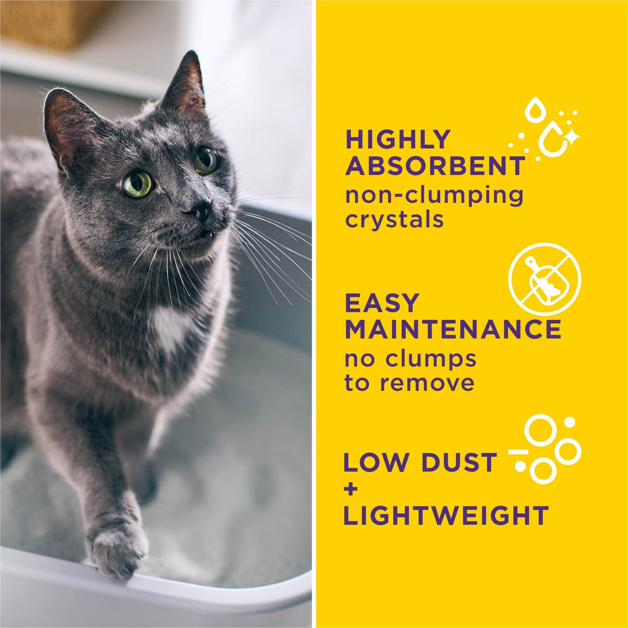 Purina Tidy Cats Alert Health Monitoring Color-Changing Crystals Non-Clumping Scented Crystal Cat Litter - 8 Lbs - Case of 4