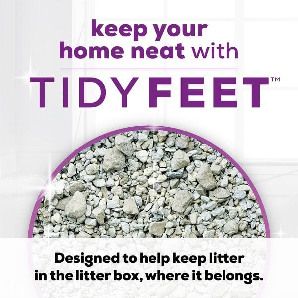 Purina Tidy Cats Tidy Feet Clumping Unscented Low-Tracking Multi-Cat Clay Cat Litter - 20 Lbs - Case of 2