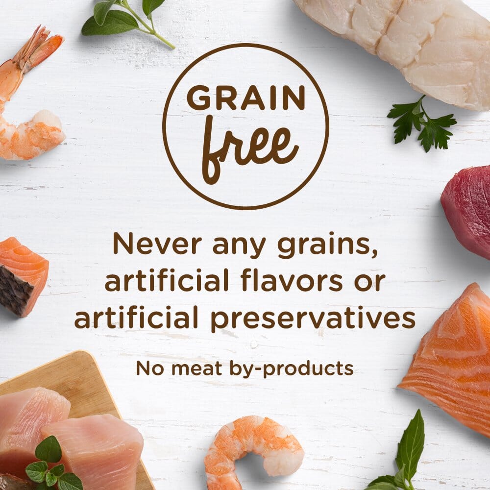 Rachael Ray Nutrish Grain-Free Oceanfish and Chicken Catch-iatore Recipe Wet Dog Food Trays - 2.8 Oz - Case of 24  