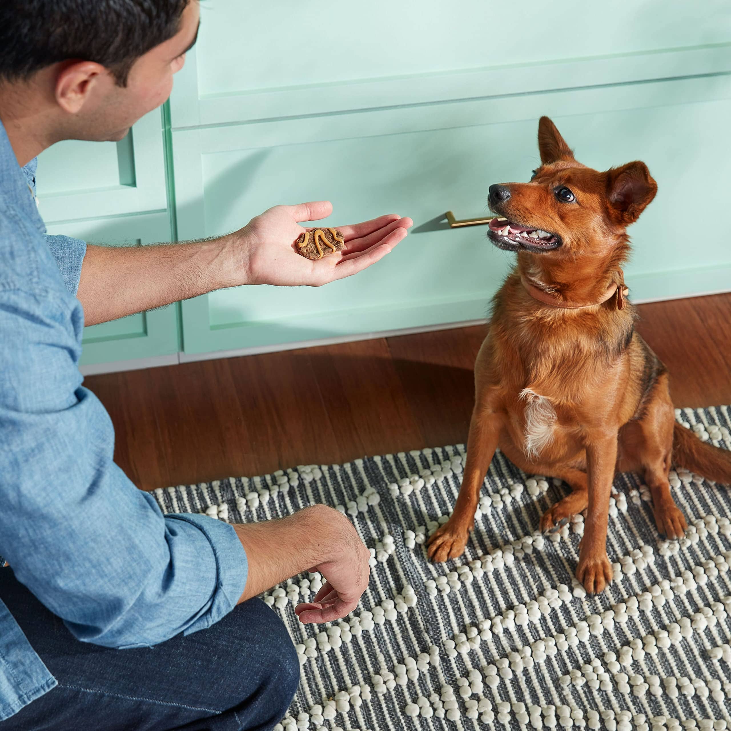 Rachael Ray Nutrish Jerky-Style Chicken Peanut Butter and Bacon Jerky Dog Treats - 4.5 Oz  