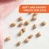 Rachael Ray Nutrish Soft Spots Salmon Recipe Soft and Chewy Cat Treats - 2.5 Oz  