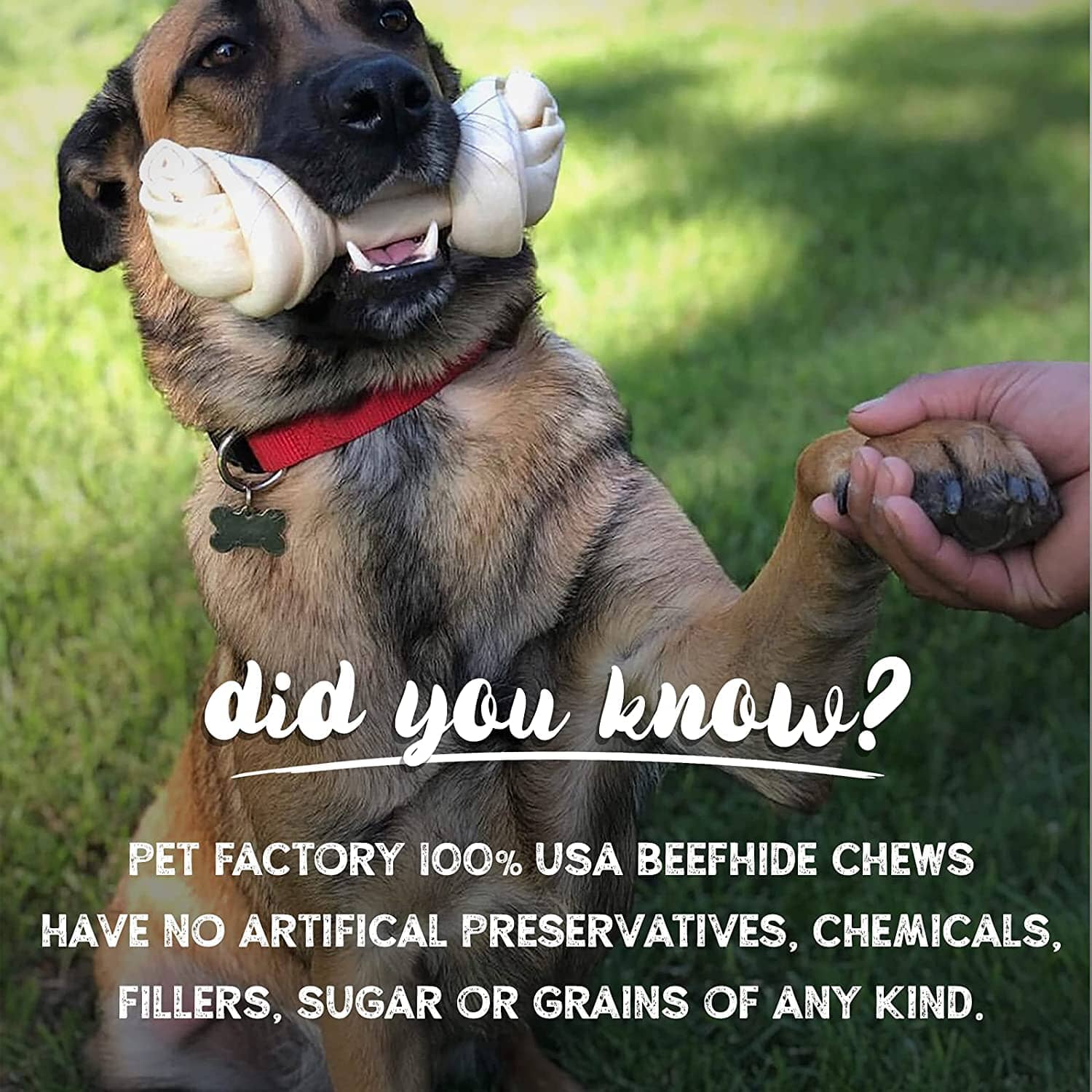 Rawhide Express Beefhide Roll Peanut Butter Flavored Natural Dog Chew - 9-10