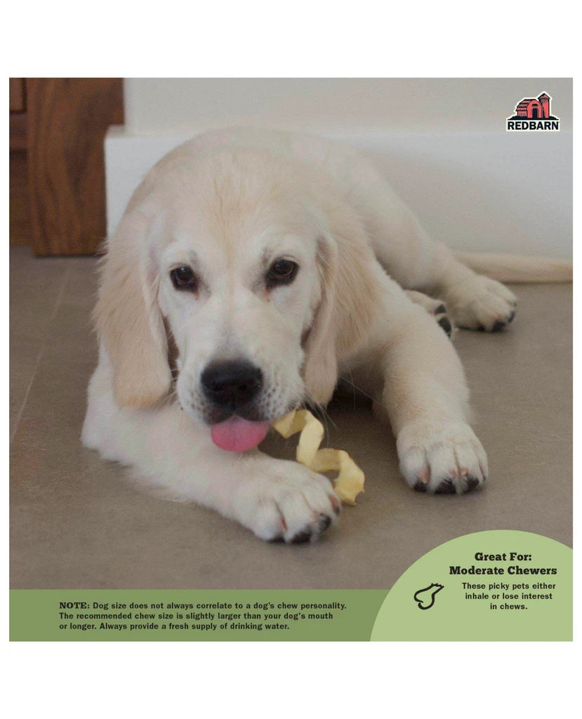 Red Barn Grain-Free Beef Cheek Springs Natural Dog Chews - Large - 20 Count
