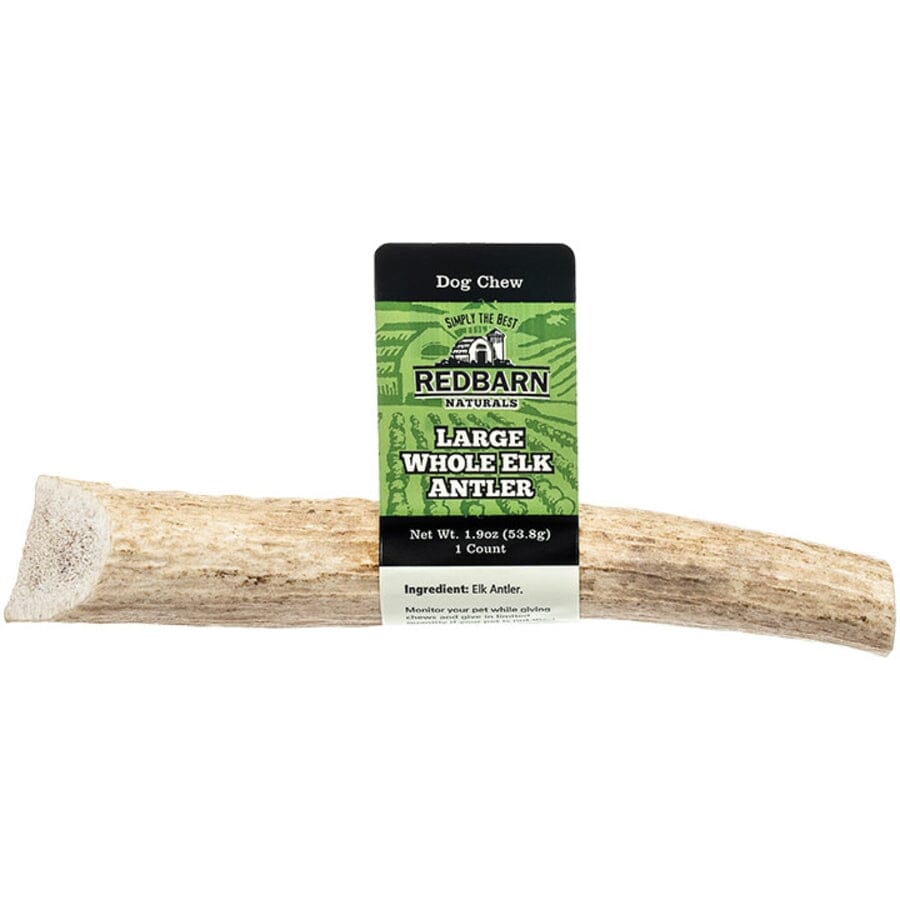 Red Barn Whole Elk Antler Natural Dog Chews - Large - 12 Count