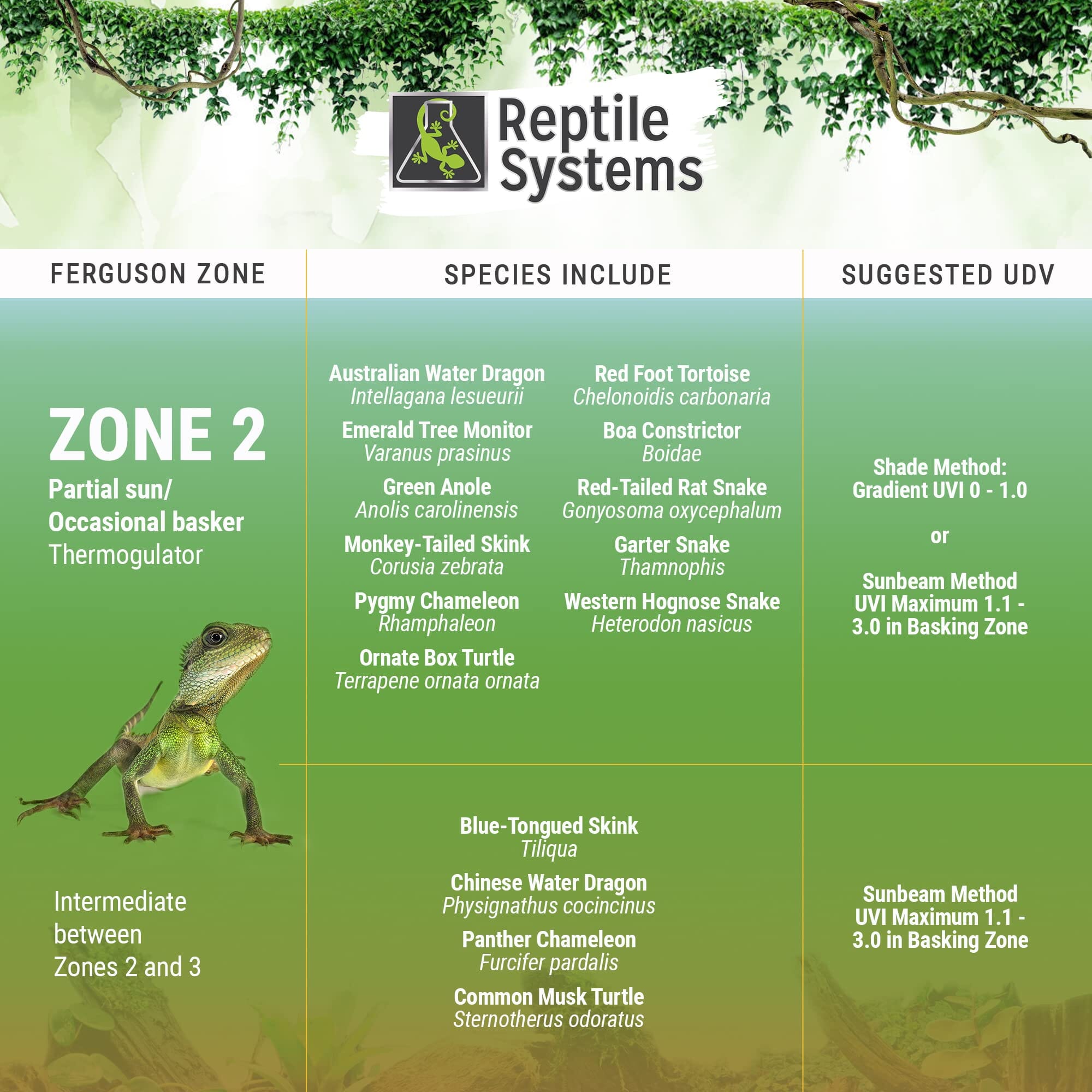 Reptile Systems T5 Lighting Ferguson Zone 3 - 54 Watt - 46