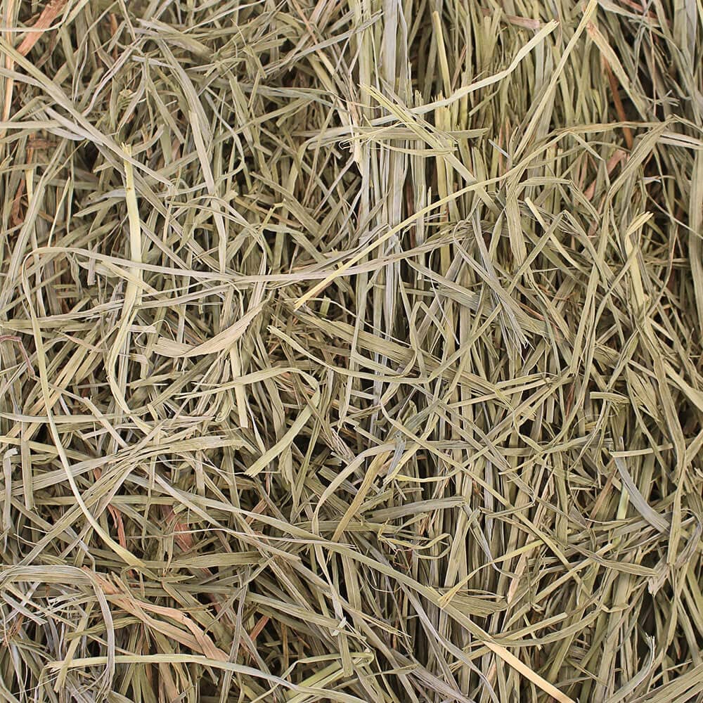 Round Lake Farms Premium Orchard Grass Hay for Small Animals  