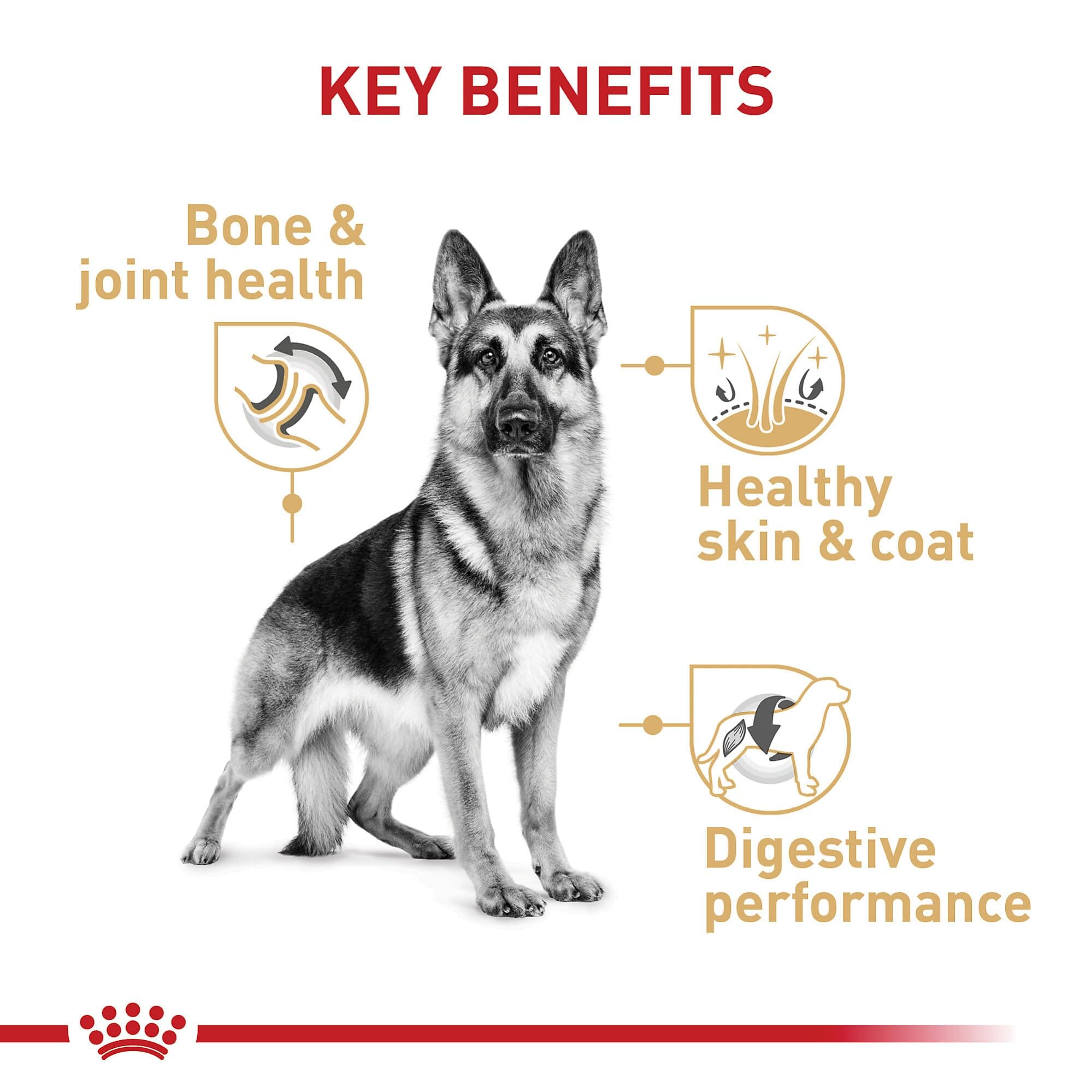Royal Canin Breed Health Nutrition German Shepherd Formula Adult Dry Dog Food - 17 Lbs  