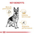 Royal Canin Breed Health Nutrition German Shepherd Formula Adult Dry Dog Food - 17 Lbs  