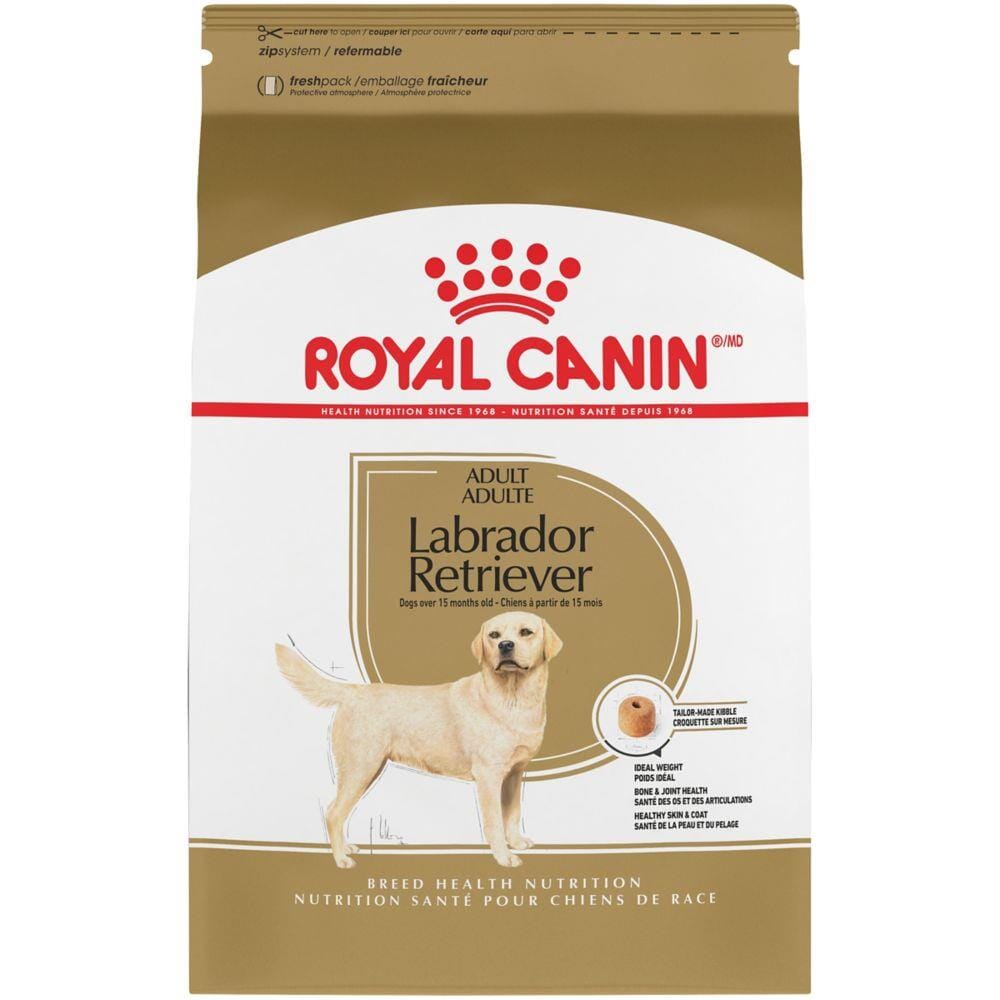 Royal Canin Breed Health Nutrition Labrador Retriever Adult Dry Dog Food  