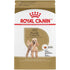 Royal Canin Breed Health Nutrition Poodle Adult Dry Dog Food  